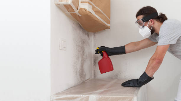Professional Crawl Space Mold Remediation technician working in Edgewood, PA